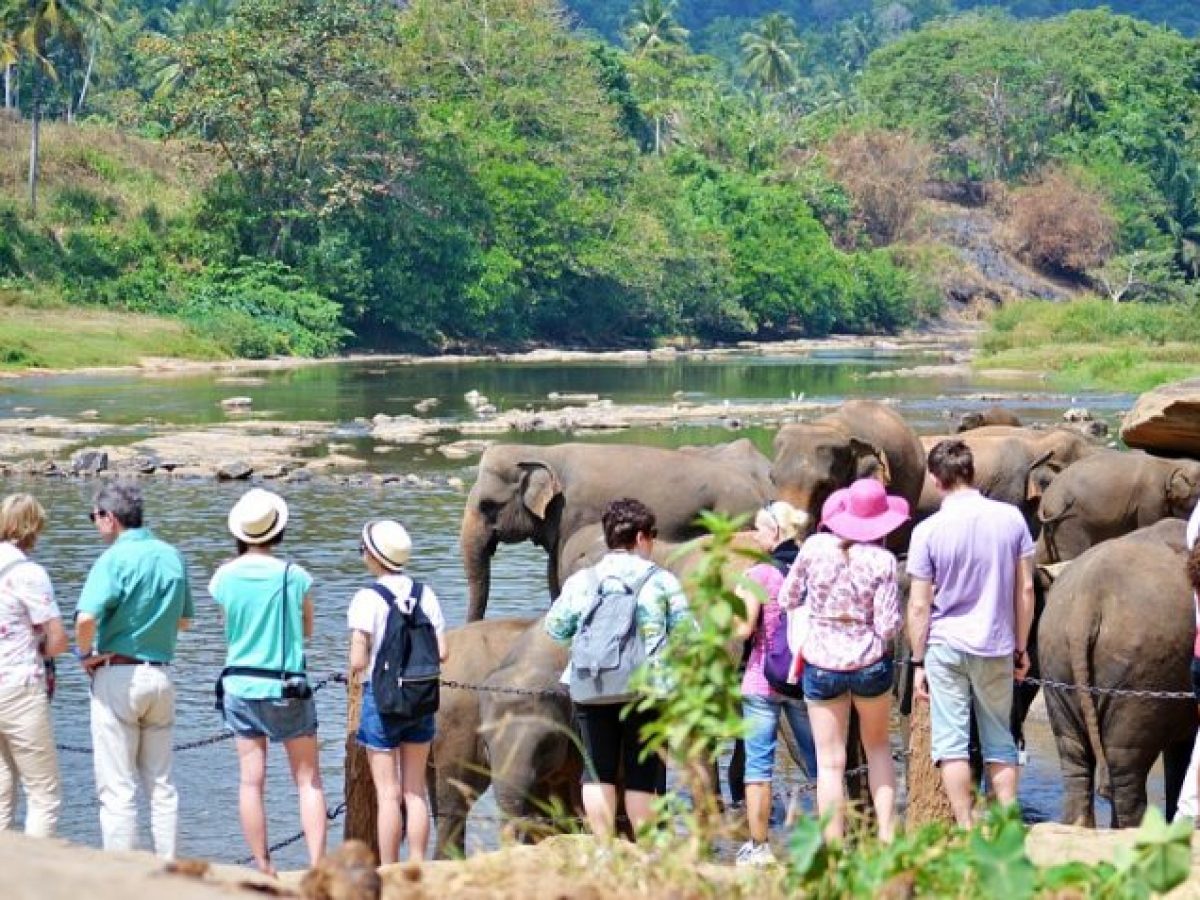 5 Places To Visit In Sri Lanka Within One Day On Sri Lanka Day Tours