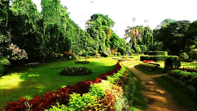 Spice garden tour of Sri Lanka